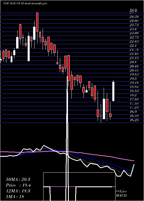  Daily chart MagnumVentures