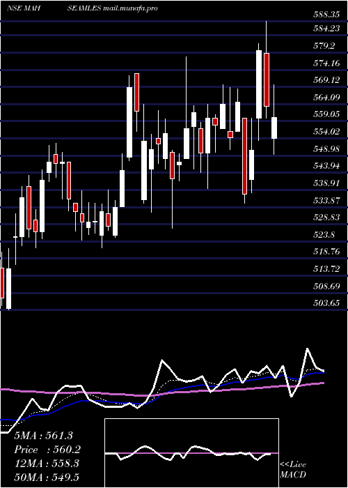  Daily chart MaharashtraSeamless