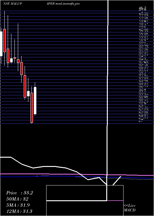  monthly chart MaluPaper