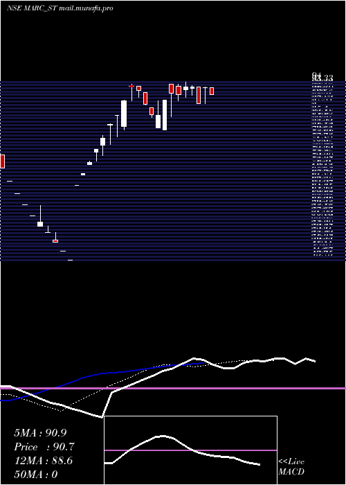  Daily chart MarcTechnocrats