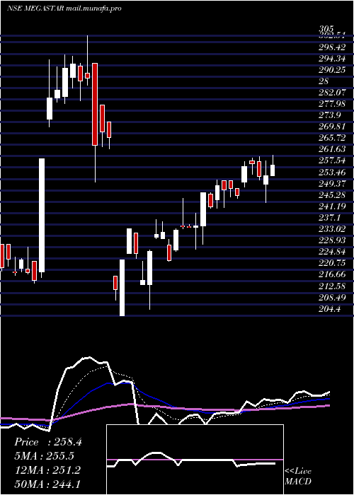  Daily chart MegastarFoods
