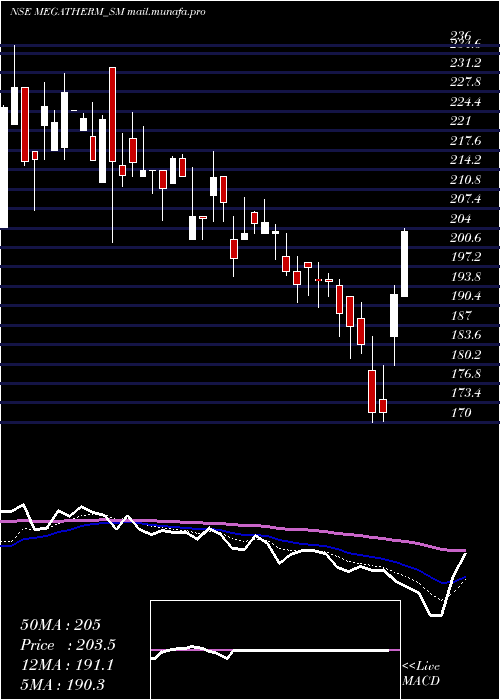 Daily chart MegathermInduction