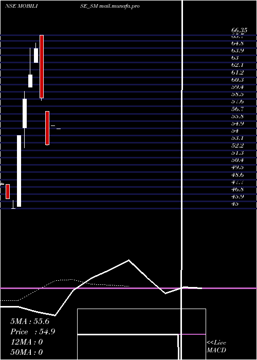  Daily chart MobiliseApp