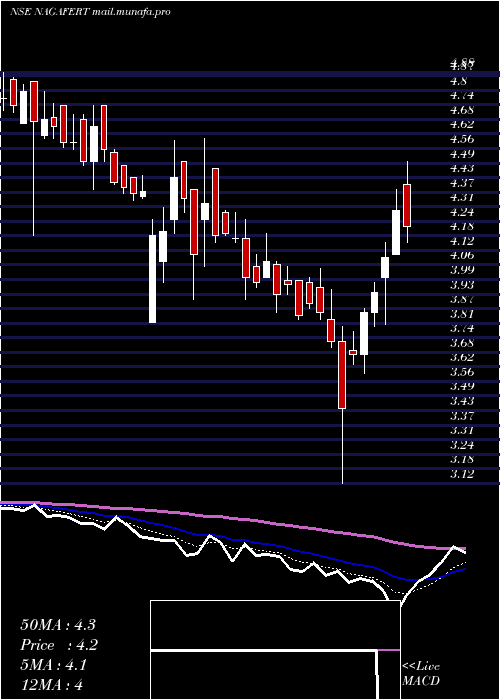  Daily chart NagarjunaFert