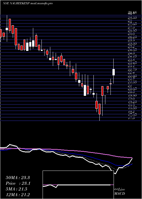  Daily chart NagreekaExports