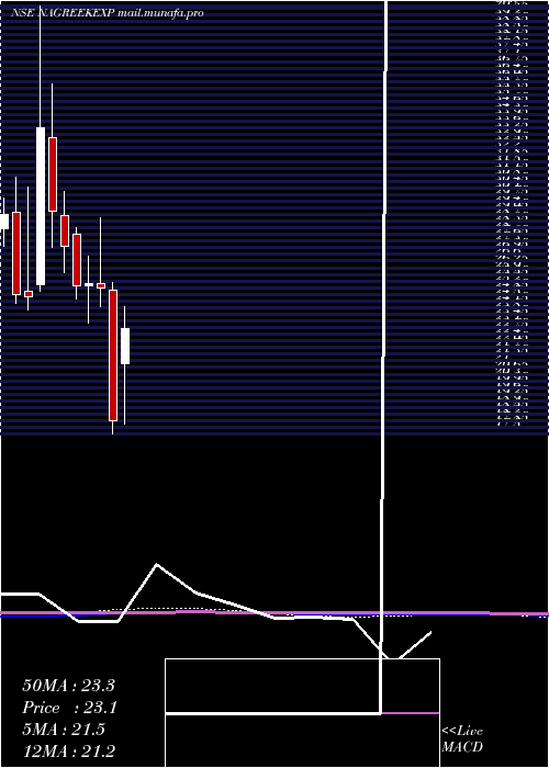  monthly chart NagreekaExports