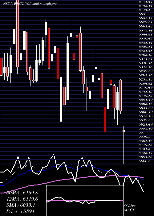  Daily chart NavinFluorine