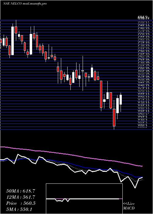  Daily chart Nelco
