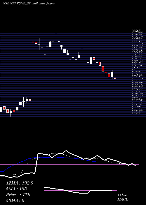  Daily chart NeptunePetrochemicals