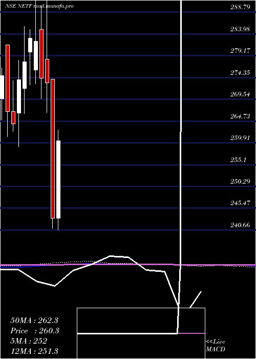  monthly chart TataamlNetf