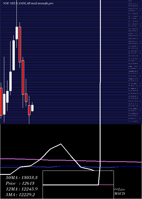  monthly chart NeulandLaboratories
