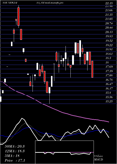  Daily chart NewjaisaTechnologies