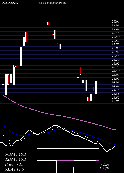  Daily chart NewjaisaTechnologies