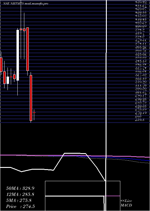  monthly chart NiitLearning