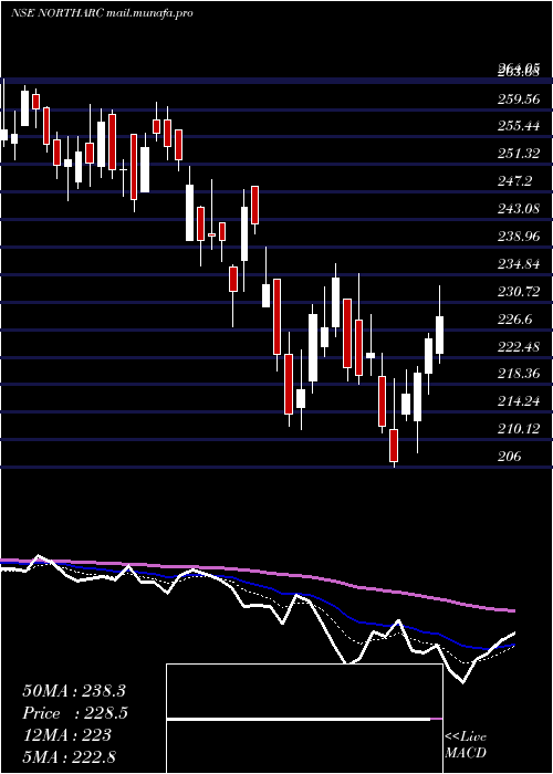  Daily chart NorthernArc