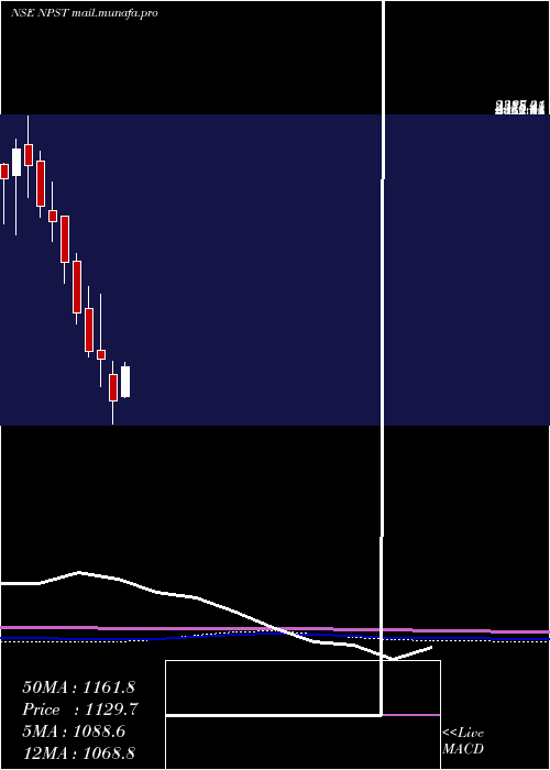  monthly chart NetworkPeople