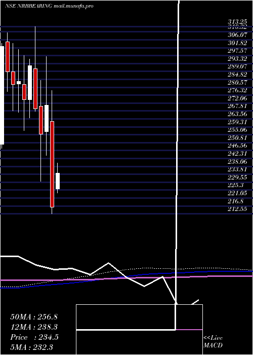  monthly chart NrbBearing