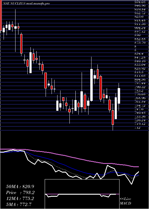  Daily chart NucleusSoftware