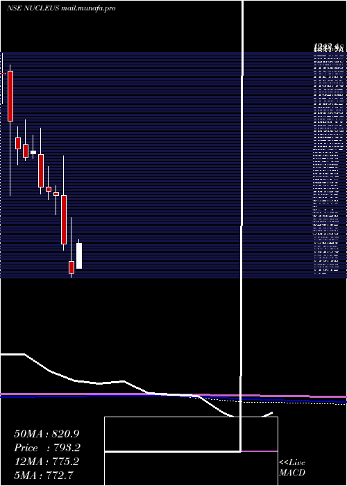 monthly chart NucleusSoftware