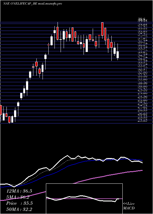  Daily chart OnelifeCap