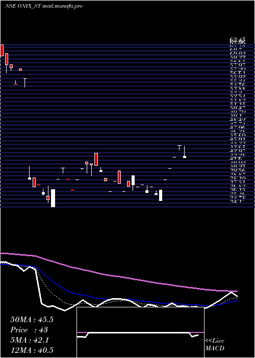  Daily chart OnyxBiotec