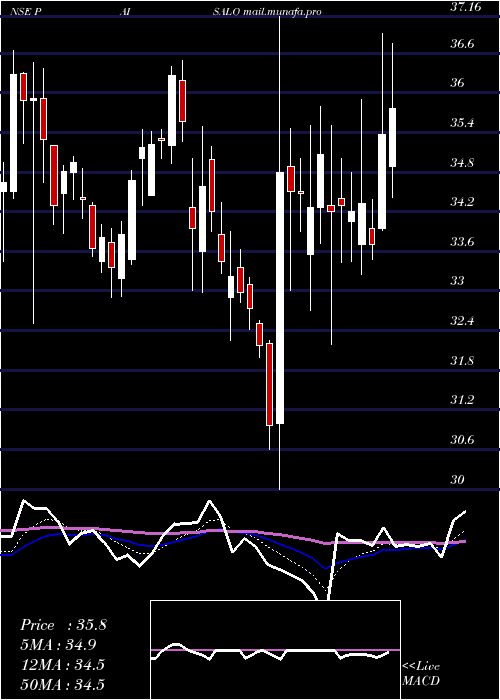  Daily chart PaisaloDigital