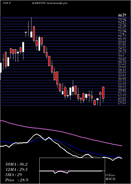  Daily chart PalredTechnolog