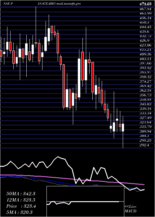  weekly chart PanaceaBiotec