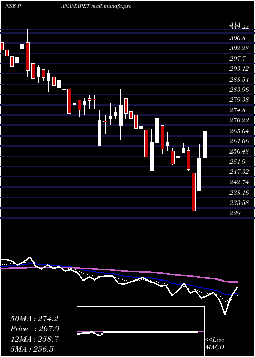  Daily chart PanamaPetrochem