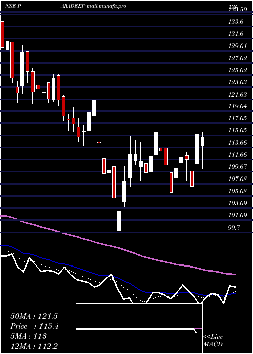  Daily chart ParadeepPhosphates