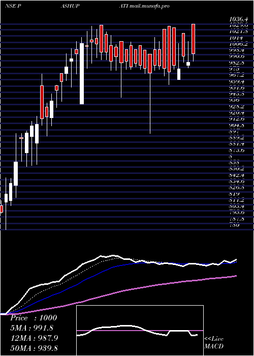  Daily chart PashupatiCotspin