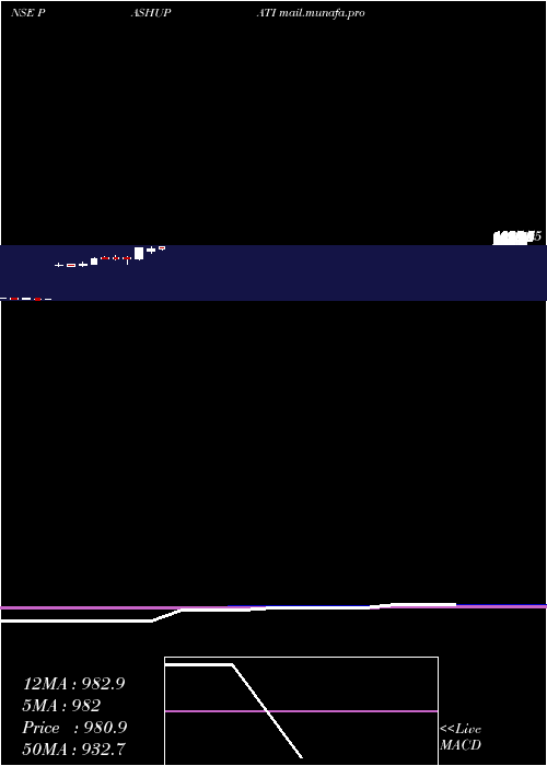  monthly chart PashupatiCotspin