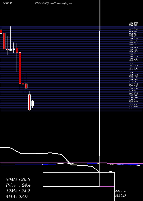  monthly chart PatelEngineering