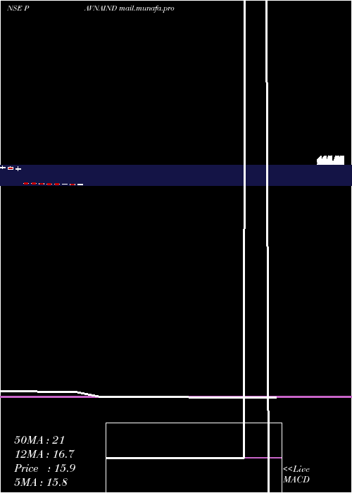  monthly chart PavnaIndustries