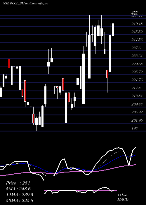  Daily chart PetroCarbon