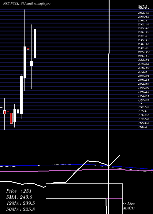  monthly chart PetroCarbon