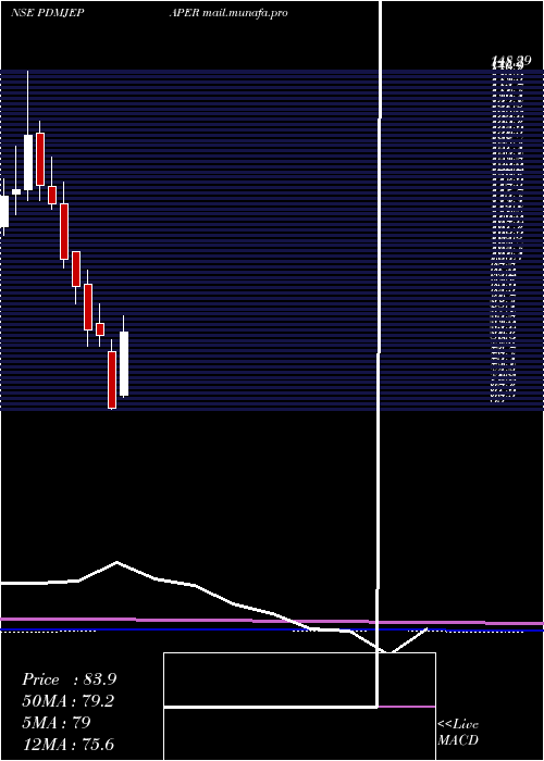  monthly chart PudumjeePaper