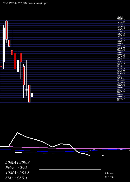  monthly chart Pelatro