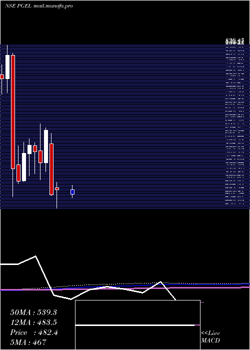  monthly chart PgElectroplast