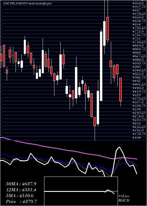  Daily chart PilaniInv