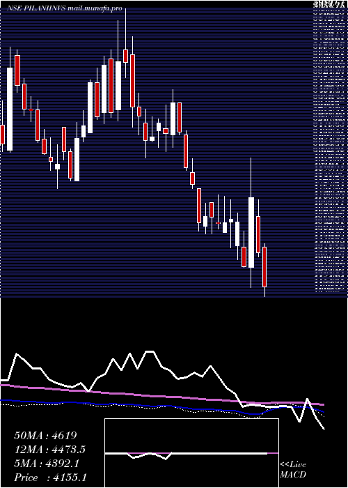  weekly chart PilaniInv