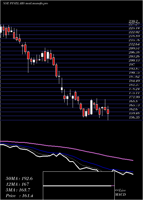  Daily chart PineLabs