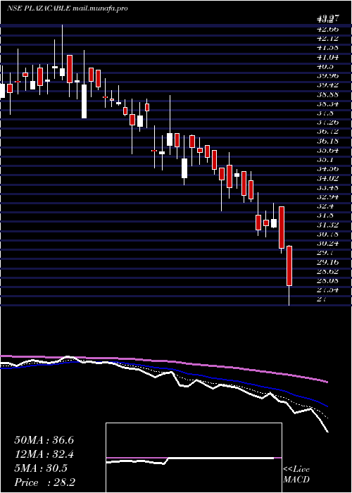  Daily chart PlazaWires