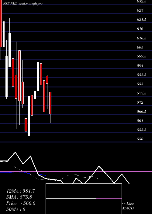  Daily chart PaulMerchants
