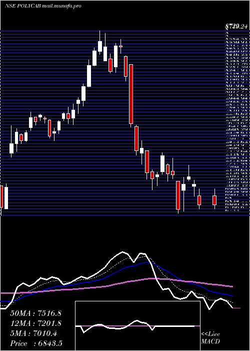  Daily chart PolycabIndia