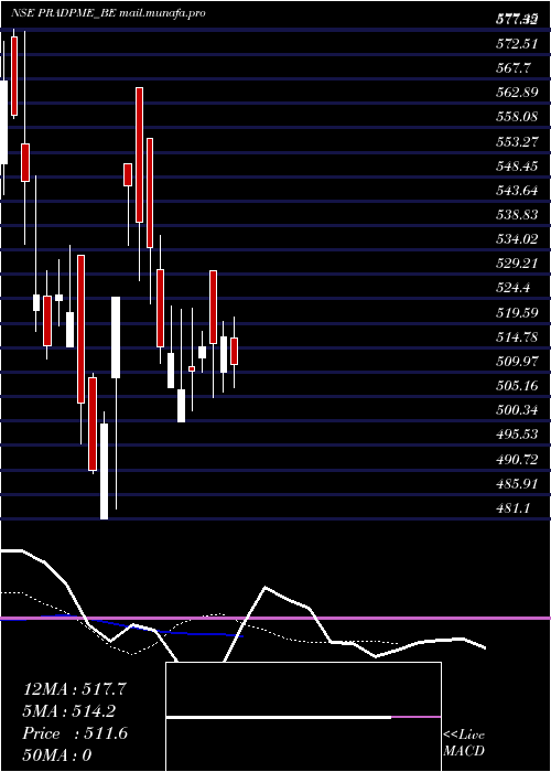 Daily chart PradeepMetals
