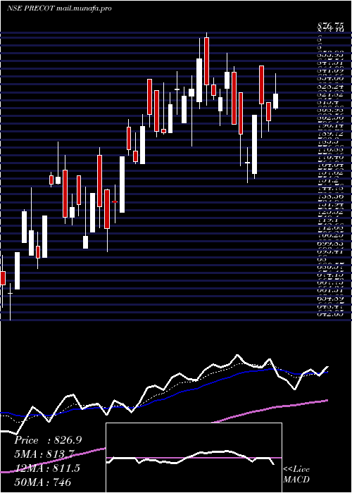  Daily chart PrecotMeridian