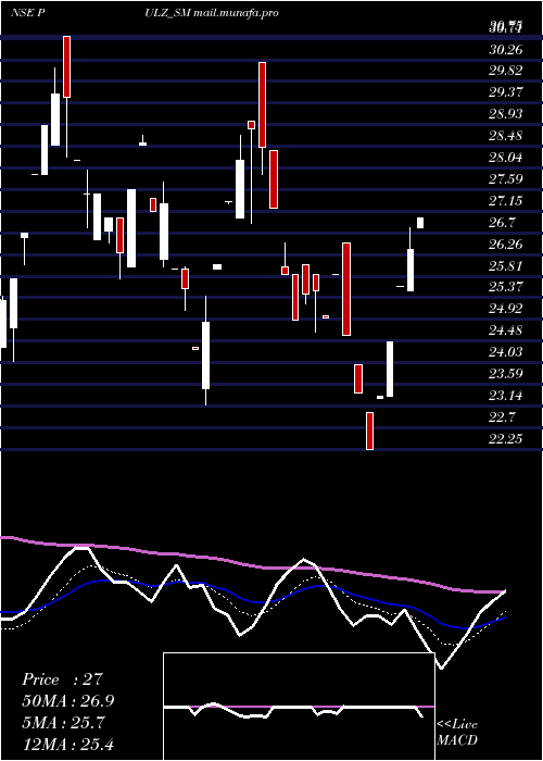  Daily chart PulzElectronics