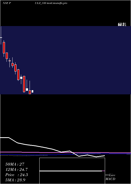  monthly chart PulzElectronics