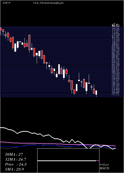  weekly chart PulzElectronics